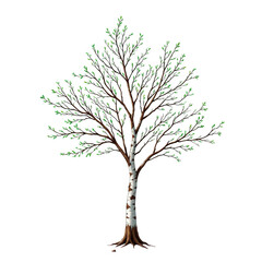 Obraz premium Detailed Illustration of a Green Tree with Lush Leaves and Branches