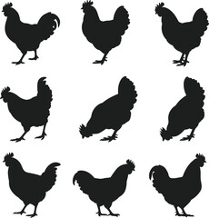 Chicken silhouette vector set, farm poultry animal poses, black hen rooster clipart, walking pecking standing birds, livestock graphic template