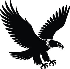 Fototapeta premium Black eagle soaring with outstretched wings bird flying