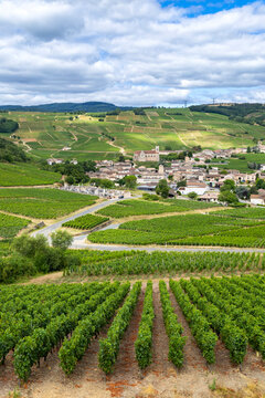 Fuisse village surrounded by vineyards in Bourgogne region, France, under cloudy sky