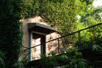 Eco-friendly house with brick wall and wooden door covered by green ivy and plants, representing...