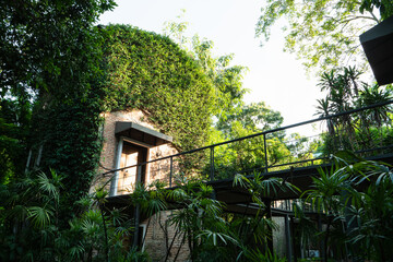 Exterior of rustic eco house with brick wall and greenery, showcasing natural design, sustainable...