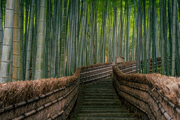 A quiet bamboo forest near Adashino Nenbutsuji Temple in Kyoto, with a narrow path leading through the tall green stalks, evoking peace, nature, and traditional Japanese atmosphere.