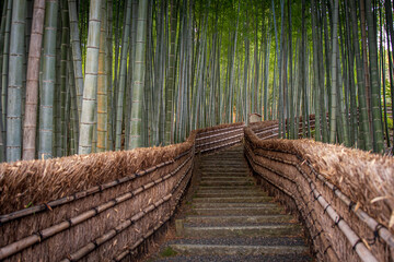 A quiet bamboo forest near Adashino Nenbutsuji Temple in Kyoto, with a narrow path leading through the tall green stalks, evoking peace, nature, and traditional Japanese atmosphere.