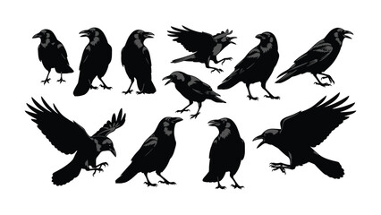 Raven Silhouettes: A collection of stark black silhouettes of ravens in various poses, standing out against a stark background, embodying the essence of dark symbolism.