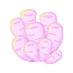 pink flowers-like sea animal 