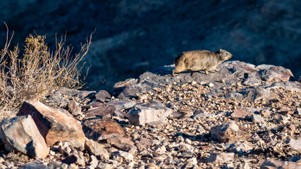 Namibia's Wüste und Fish River Canyon