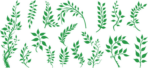 Green liana plants. Tropical climbing creepers branches with moss, rainforest flora flat vector illustration isolated on white background