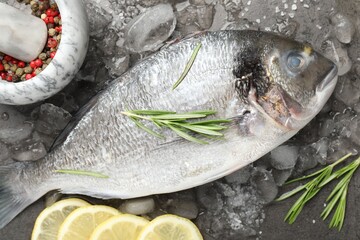 Fresh raw dorado fish, ice, lemon slices and rosemary on grey table, flat lay. Organic seafood