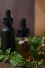 Bottles of essential oil and herbs on wooden table, closeup