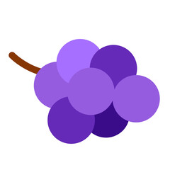 Purple grapes on a stem isolated on white background