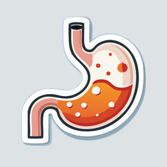 Anatomy illustration of the human stomach, showing its internal structure and digestive fluids.