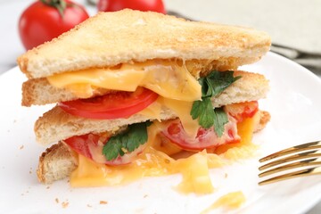 Tasty sandwiches with melted cheese, tomatoes and parsley on table, closeup