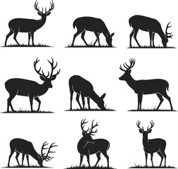 Deer silhouettes in various natural poses, grazing and standing stances, wildlife animal vector illustration, black forest stag design, isolated on white