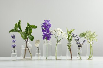 Different plants in glass bottles of essential oils on white table against light grey background