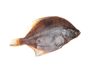 Fresh raw flounder fish isolated on white, top view. Seafood