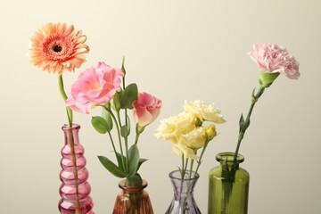 Different beautiful flowers in glass vases on light grey background, closeup