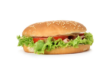 Tasty burger with lettuce, ham and tomato isolated on white