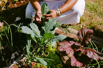 Black Woman Gardening