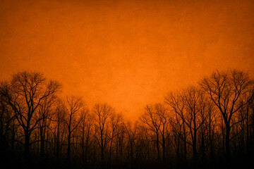 Dark spooky forest silhouette with bare trees against a glowing orange sky, eerie autumn landscape background perfect for Halloween themes, seasonal nature scenery with haunting atmosphere