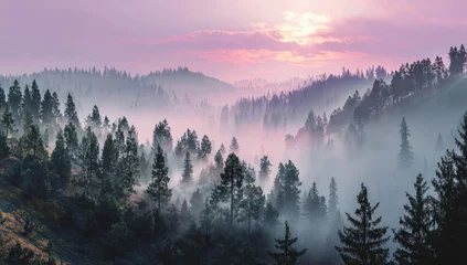 Gordijnen Mistig bos Misty mountain valley at sunrise, showcasing a serene landscape of evergreen trees shrouded in a soft, purple-hued fog, bathed in the warm glow of the rising sun  © Atstsaniyah