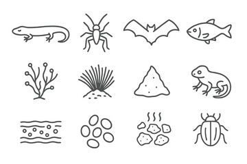 Cave Ecosystem Icons. Line style icons of cave ecosystem elements: blind salamander, cave cricket, bat icon, troglobite fish, mold