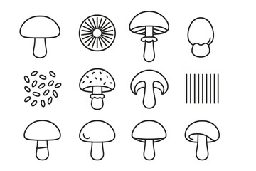Mushroom Anatomy Diagram. Line style icons of mushroom anatomy for ID: mushroom cap, gills underneath, stipe (stem), ring collar,