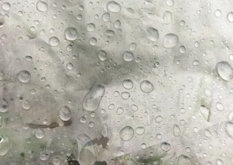 Close up of raindrops on plastic surface with natural light reflection, abstract water texture creating a calm rainy day atmosphere, perfect background for nature, weather, and moisture concept