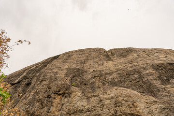 A large rock with a small plant growing on it