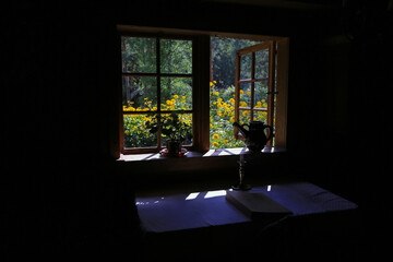 The window to the nature