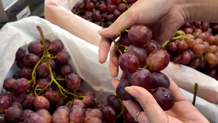 A person is holding a bunch of grapes in their hand
