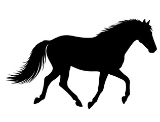 Hourse in silhouette on white background