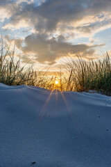 Wunderschöner Sonnenuntergang hinter einer mit Gras bewachsenen Düne an der Ostsee
