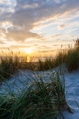 Wunderschöner Sonnenuntergang hinter einer mit Gras bewachsenen Düne an der Ostsee