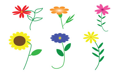 Colorful flower set collection on white background