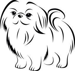realistic dog Pekingese eps with white background