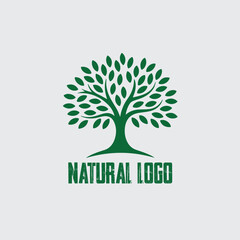 Obraz premium green tree vector