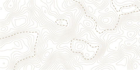 Fototapeta premium Image grid geographic relief topographic contour line maps cartography texture. Topographic map lines, contour background. Background of the topographic map