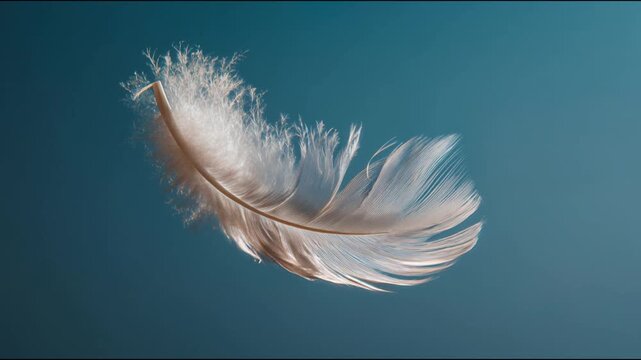 White feather gently floating in the air with blue background, peaceful cinematic animation, symbol of freedom and lightness