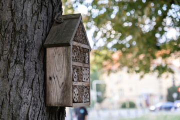 Rustic wooden insect hotel attached to a tree trunk, promoting vital urban biodiversity and eco-friendly wildlife conservation in a natural park setting