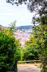 View of a European town surrounded by forested mountains seen through green foliage
