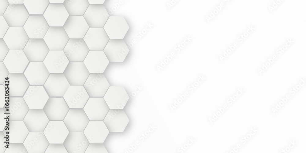 Poster abstract background with and grey hexagon, modern abstract vector polygonal pattern. white and grey 