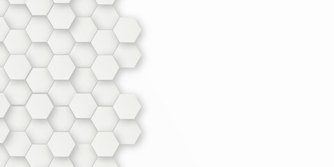 Abstract background with And grey  hexagon, modern abstract vector polygonal pattern. White and grey Hexagonal Background. Luxury White Pattern. Vector Illustration.