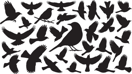 American Robin Silhouette Vector Set, Flying Robin Bird Silhouette Collection, Perching and Flying Robin Silhouettes, Black and White Bird Silhouette Pack, American Robin in Flight Vector Set