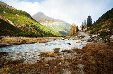 A small river with a beautiful yellow tree in the middle of an autumnal mountain landscape.