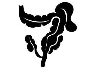  Human appendix icon silhouette, stylized