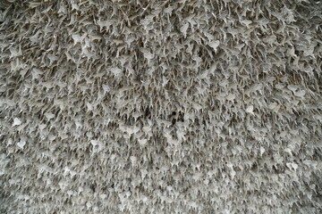 Close up of a white and grey surface with many small white objects