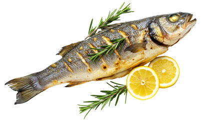 Delicious Baked Sea Bass with Rosemary and Lemon Slices, a Healthy and Flavorful Seafood Dish