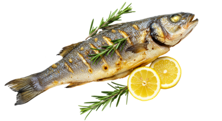 Delicious Baked Sea Bass with Rosemary and Lemon Slices, a Healthy and Flavorful Seafood Dish