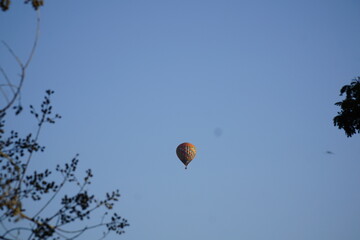 Hot air balloon is floating in the sky above a tree